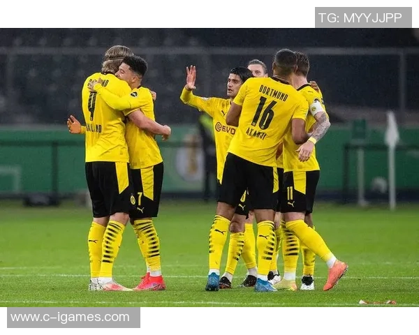 多特蒙德足球俱乐部的辉煌历程与未来发展展望